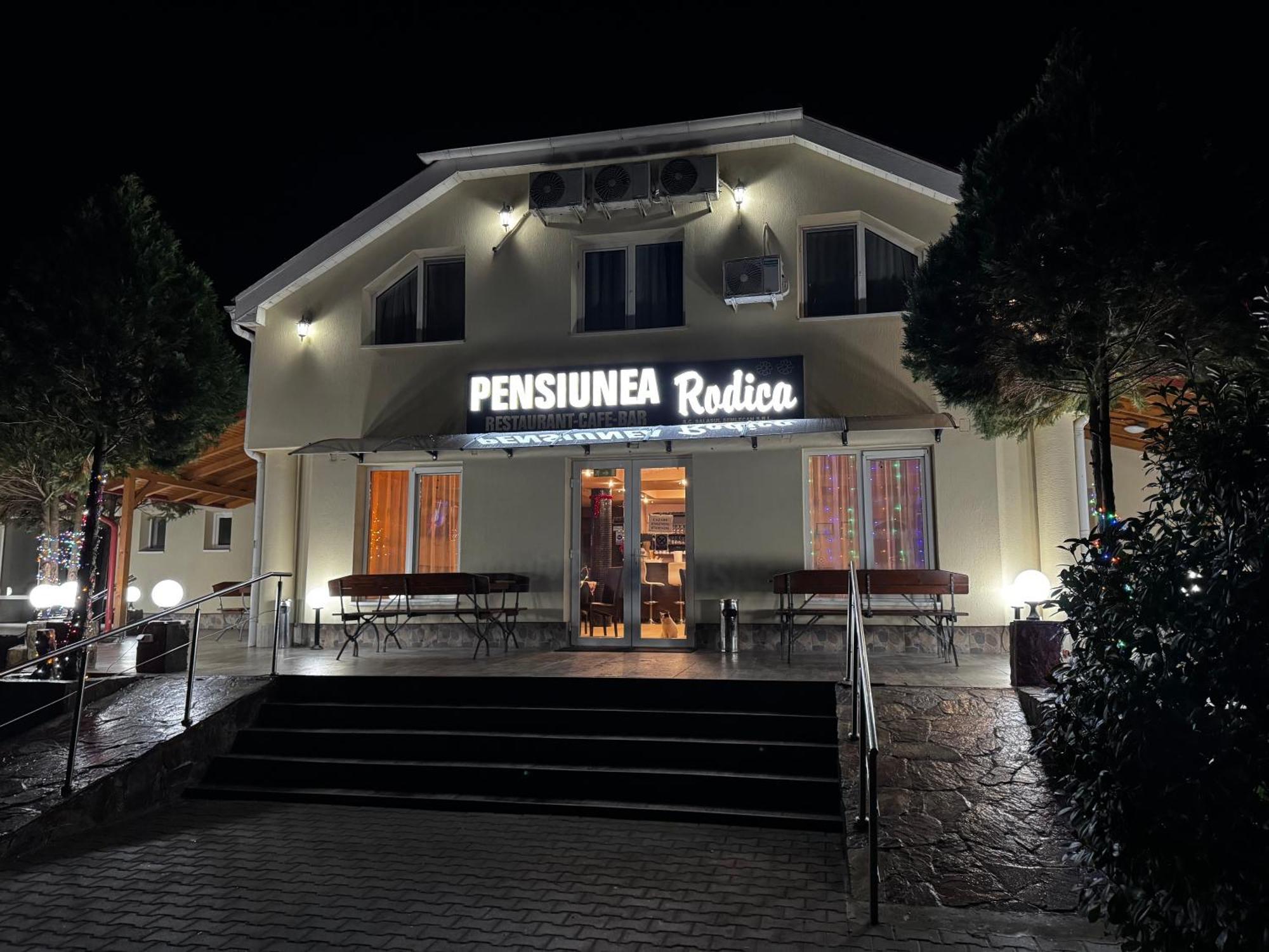 Pensiunea Rodica Nadlac Exterior photo