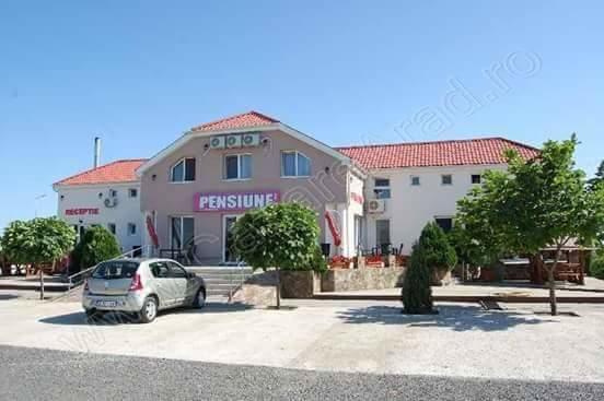 Pensiunea Rodica Nadlac Exterior photo